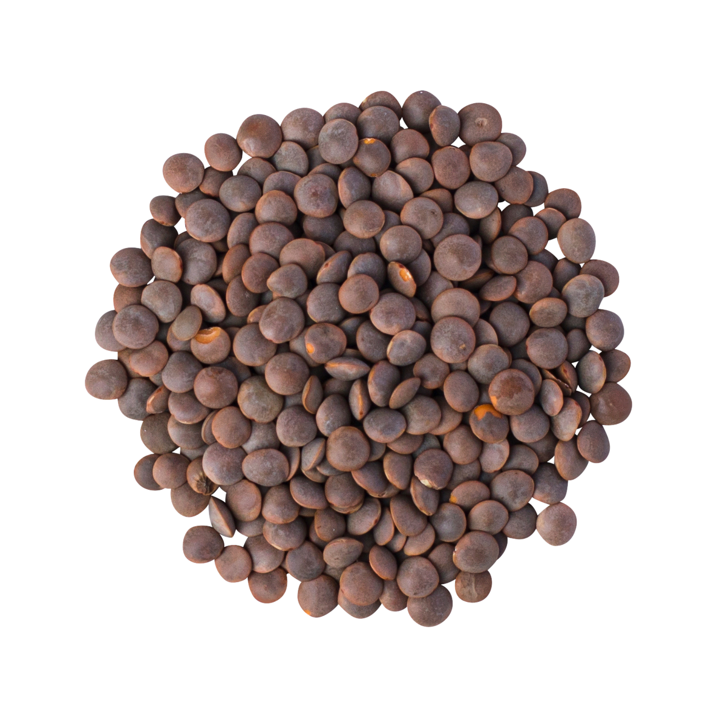 Lentils Brown Organic - 3.5kg