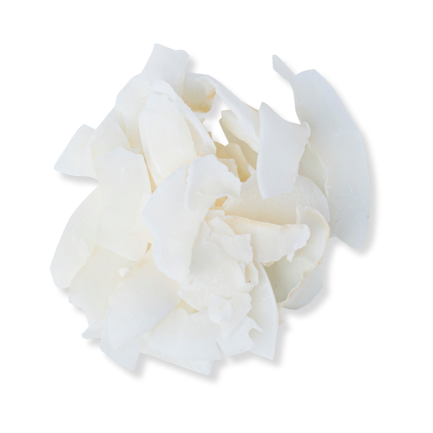 Coconut Chips Organic - 1kg