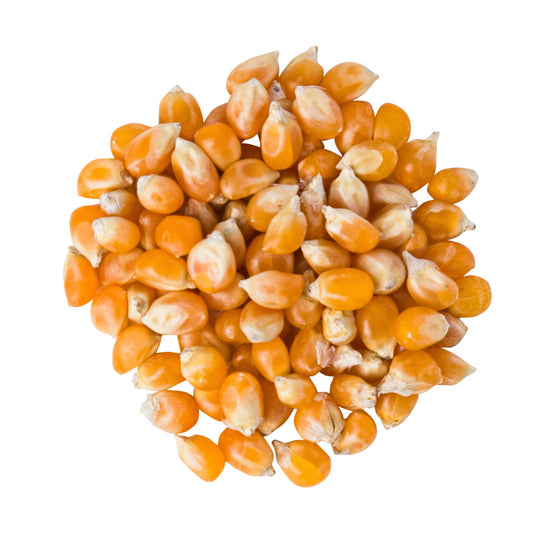 Corn Popping Organic - 3 kg