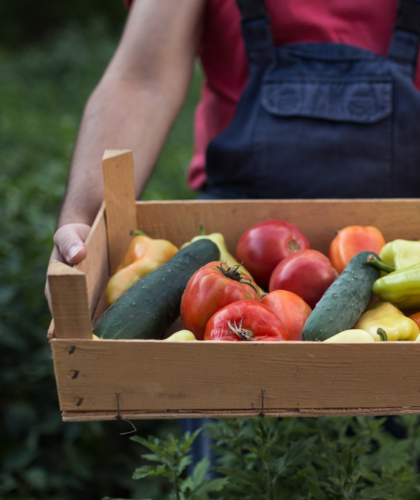 clean 15 & dirty dozen NZ: what to eat or avoid