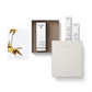 Dr. Hauschka Warm Glow Gift Set - Each