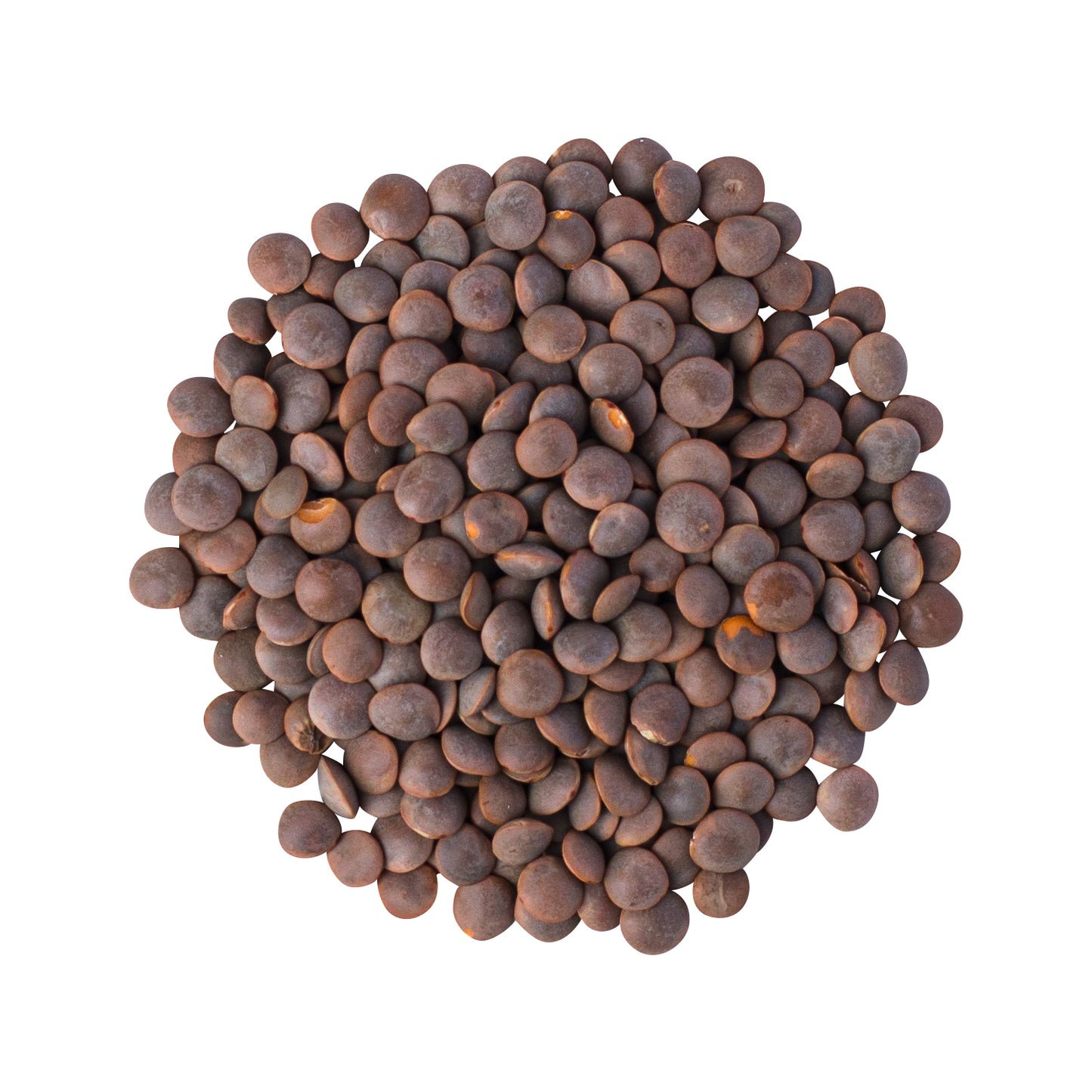 Lentils Brown Organic - 3.5 kg