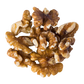 Walnuts Light Halves Organic - 1.5kg