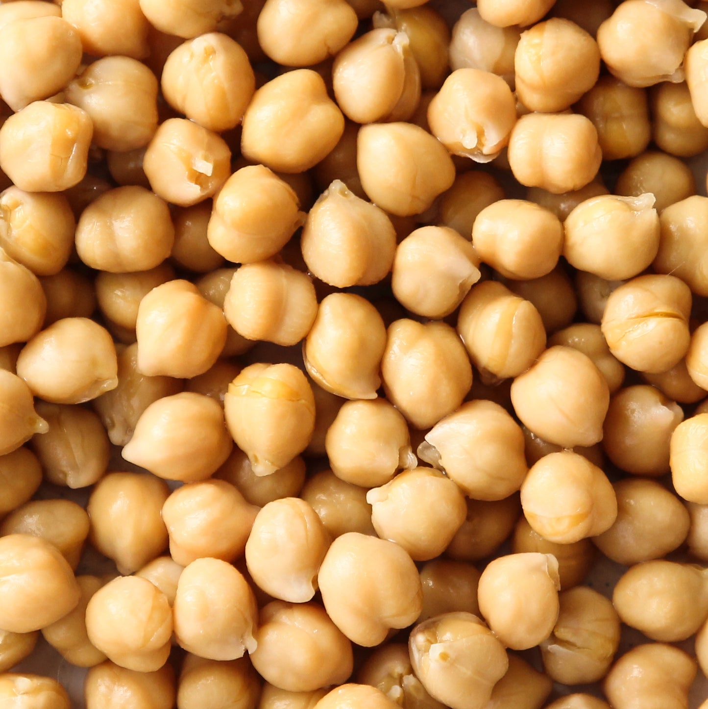 Organic Chickpeas / Garbanzo Beans -  CASE 12x 400g